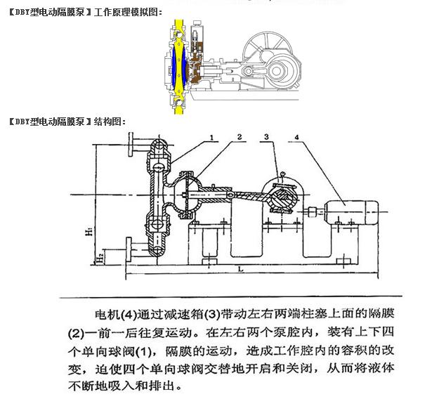 DBY電動隔膜泵原理圖