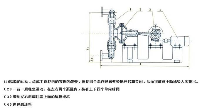 XDBY電動隔膜泵原理圖